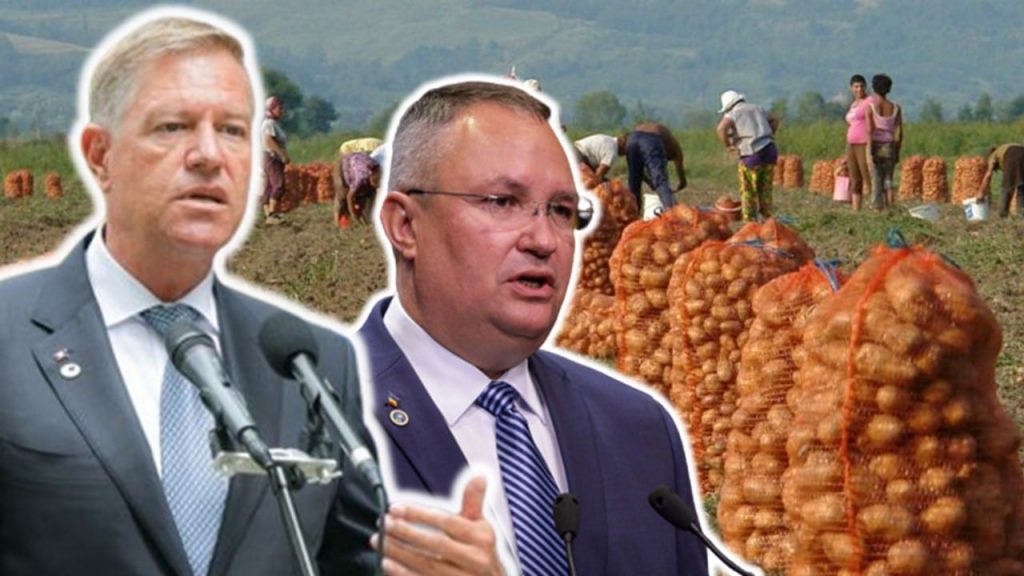 Cartofii s-au scumpit cu 40% față de anul trecut – 4media.info