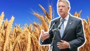 România exportă grâu ieftin și importă pâine scumpă – 4media.info