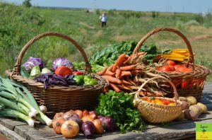 Bravo. România se află în top 5 importatori de fructe și legume, nu mai știu fermierii români să cultive – 4media.info