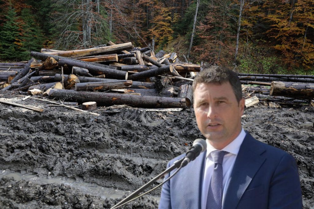Șmecheria de milioane de euro a Schweighofer – 60m.ro