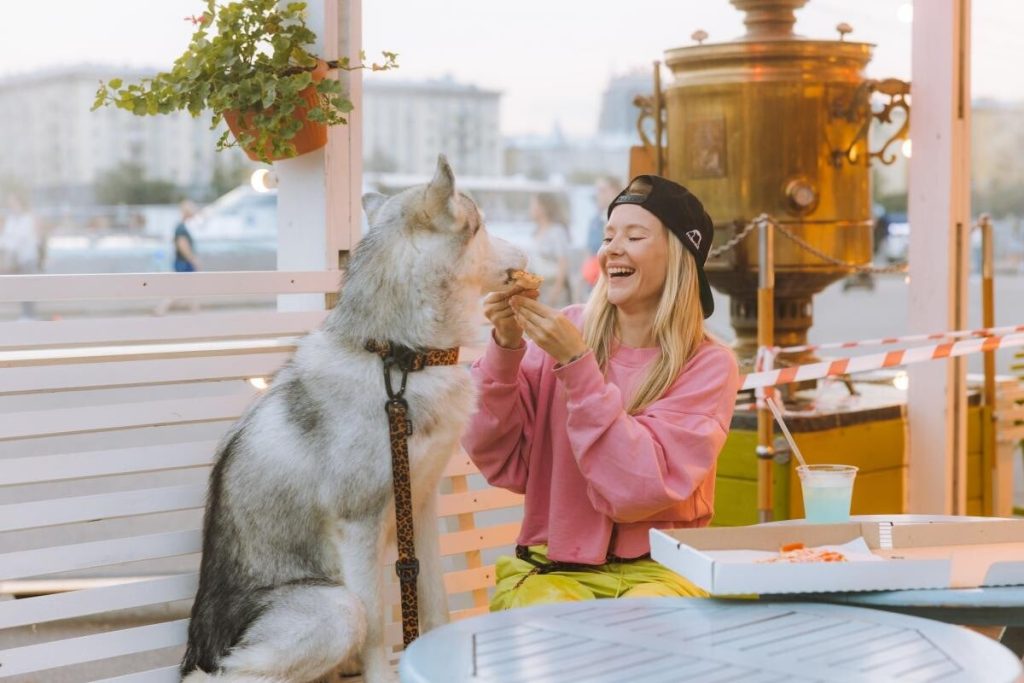 Criza lovește Marea Britanie. Unii oameni au început să mănânce hrana animalelor de companie și să-și încălzească mâncarea la lumânare