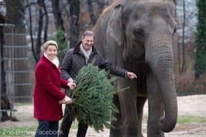 Grădina Zoologică din Berlin s-a redeschis după un caz de gripă aviară