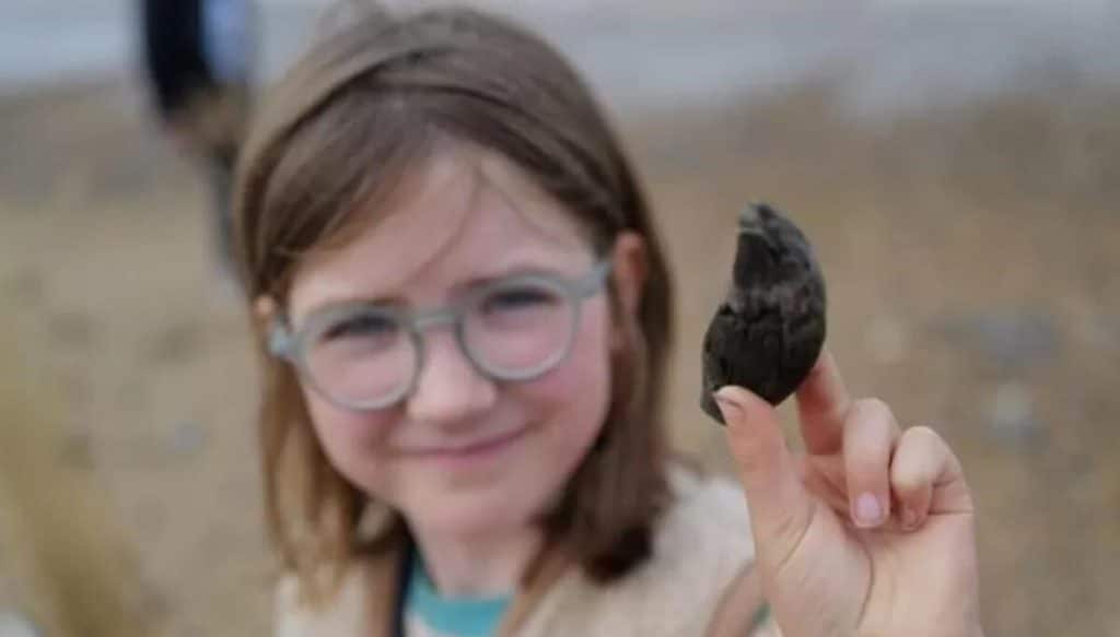 O fetiță de 9 ani a găsit un dinte de urs de acum 700.000 de ani. „Arheologii caută și 20 de ani și nu găsesc așa ceva”