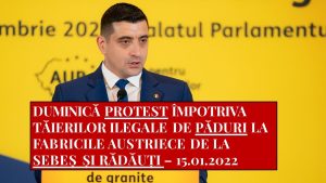 Păduri. Duminică sunt proteste la fabricile austriece din Sebeș și Rădăuți. Opriți tăierile ilegale de păduri – 4media.info