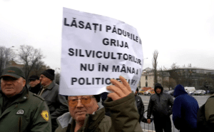 VIDEO Protestele silvicultorilor: Guvernul vrea să privatizeze pădurile pe o mână de arginți – 60m.ro