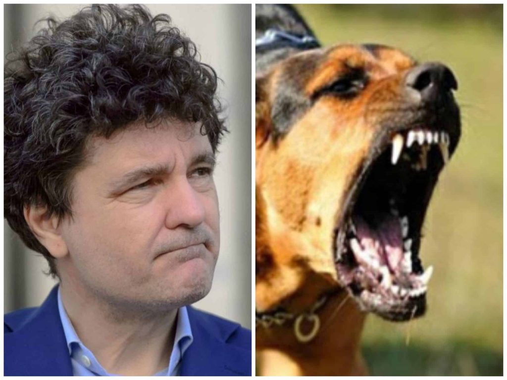 Nimeni nu este vinovat pentru moartea în chinuri a unei femei sfâșiate de câinii maidanezi – 4media.info