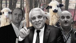 “Băieții șmecheri din oierit” pregătesc 20.000 de “certificate de origine false” pentru a fura 80 de milioane de euro cu sprijinul lui Petre Daea – 60m.ro