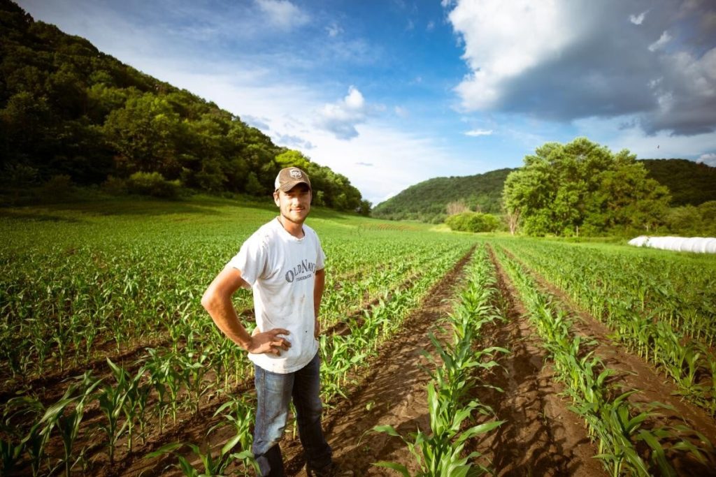 Agricultorii din Bulgaria au blocat o șosea și au cerut interzicerea importurilor de grâu din Ucraina