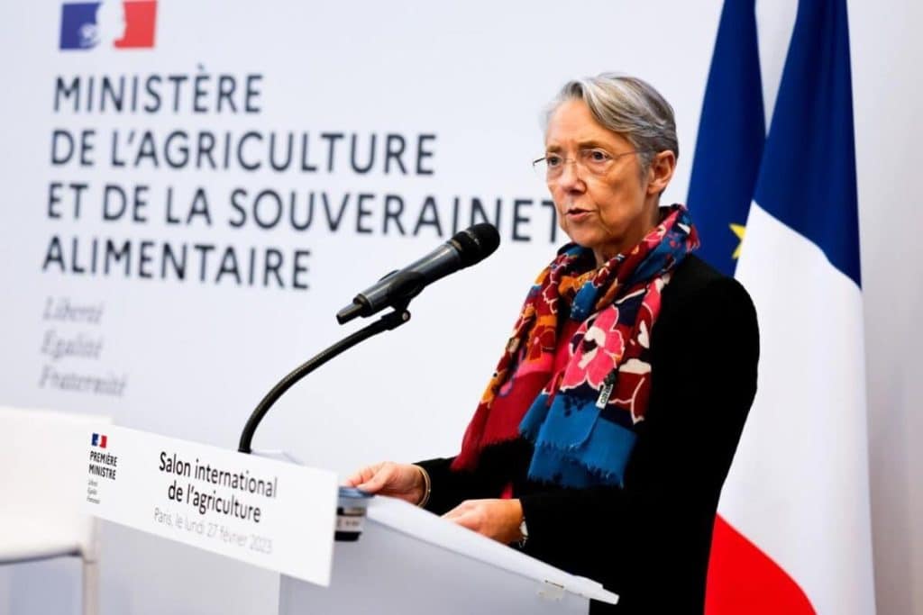 Guvernul Franţei supravieţuieşte celor două moţiuni de cenzură. Reforma pensiilor a devenit realitate, în ciuda protestelor