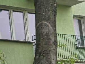 Apariție misterioasă: Credincioșii cred că e chipul lui Iisus. Preoții cred că seamănă cu Conchita Wurst