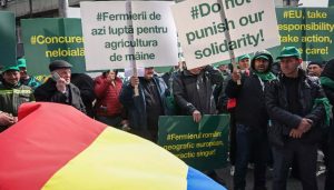 Agricultorii români protestează la Bruxelles împotriva cerealelor ucrainene: Se strică grâul și floarea soarelui în hambare – 60m.ro
