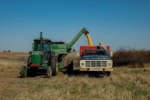 Ucraina își vrea cerealele în UE, fără niciun control: Cere Comisiei Europene liberalizarea completă a importurilor