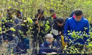 Polonia şi Ungaria au votat împotriva cotelor obligatorii de migranți. România a luat poziția de slugă – 60m.ro