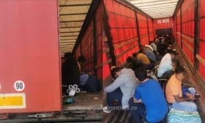 Capturaţi la graniţă. 68 de cetăţeni străini au încercat să intre ilegal în Ungaria