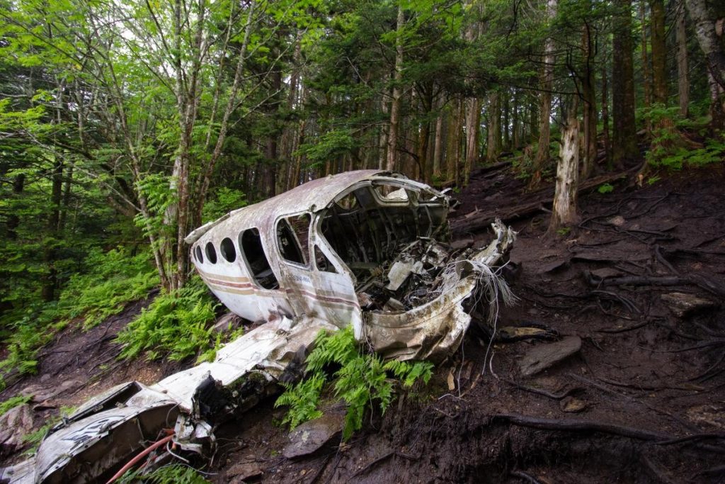 Imagini emoționante cu cei patru copii, care au fost găsiţi în viaţă la 40 de zile de la prăbușirea cu avionul în jungla columbiană: Îmi e foame! Mama a murit! – Video