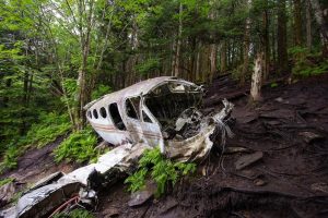 Imagini emoționante cu cei patru copii, care au fost găsiţi în viaţă la 40 de zile de la prăbușirea cu avionul în jungla columbiană: Îmi e foame! Mama a murit! – Video