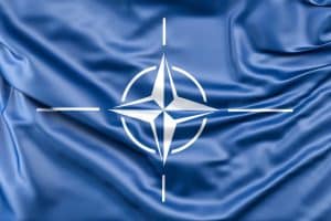 Mai multe state membre NATO, între care şi România, se vor întâlni la Haga, pe 27 iunie, înaintea summitului Alianţei de la Vilnius din iulie