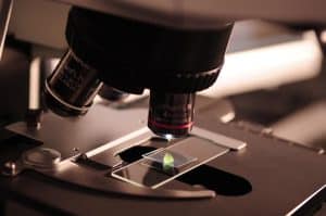 O geantă „mai mică decât un grăunte de sare” a fost vândută cu peste 60.000 de dolari la o licitație. Proprietarul a primit și un microscop / foto