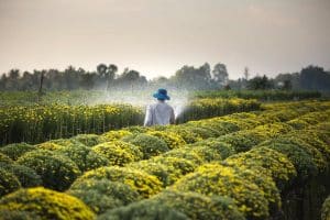 Următorul pas din planul Green Deal, dezvăluit de Comisia Europeană. ONG-urile spun, însă, că e şubred