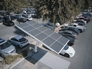 Mai puține ”porcării verzi”. Politicienii britanici vor reducerea taxei ecologice