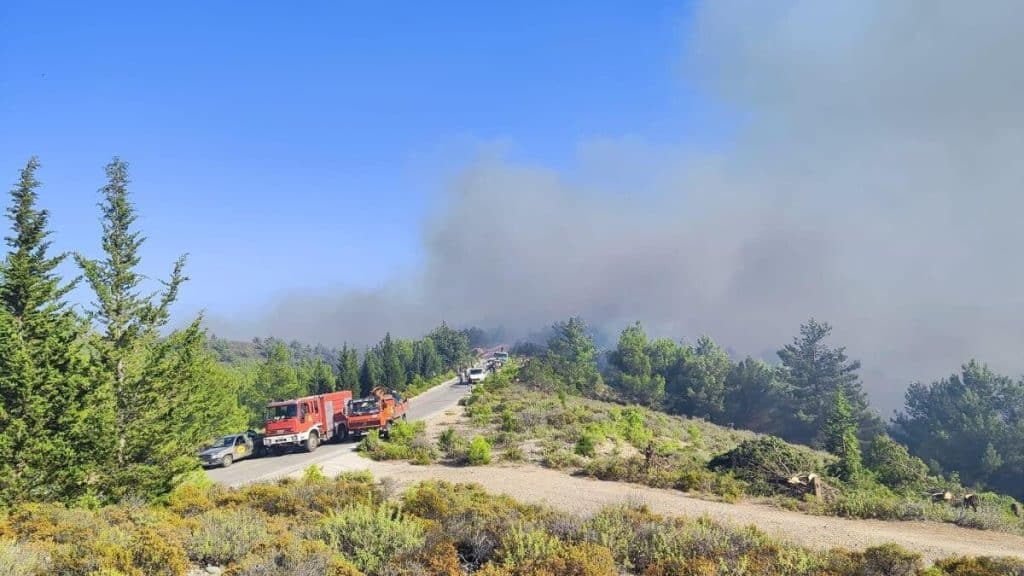 Incendiu în Rodos. Ministrul elen al Turismului îi linștește pe turiști: Doar o mică parte a insulei a fost afectată