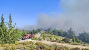 Incendiu în Rodos. Ministrul elen al Turismului îi linștește pe turiști: Doar o mică parte a insulei a fost afectată