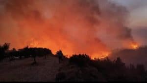 Românii din Grecia, atenționați de Ministerul de Externe – cel mai mare grad de risc: Pericol de extindere a incendiilor de vegetație