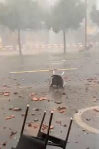 Prăpăd în Elveția: Tornadă asociată cu o furtună. Au măturat La Chaux-de-Fonds cu rafale de vânt de 215 km/h – VIDEO