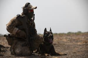 Un câine al armatei israeliene a înregistrat pe o cameră corporală ultimele cuvinte ale ostaticilor ucişi din greşeală