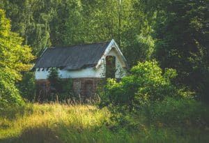 Familia care trăiește, din 2005, într-o casă în pădure, fără acces auto. Tatăl: Copiii s-au săturat de tăiat lemne