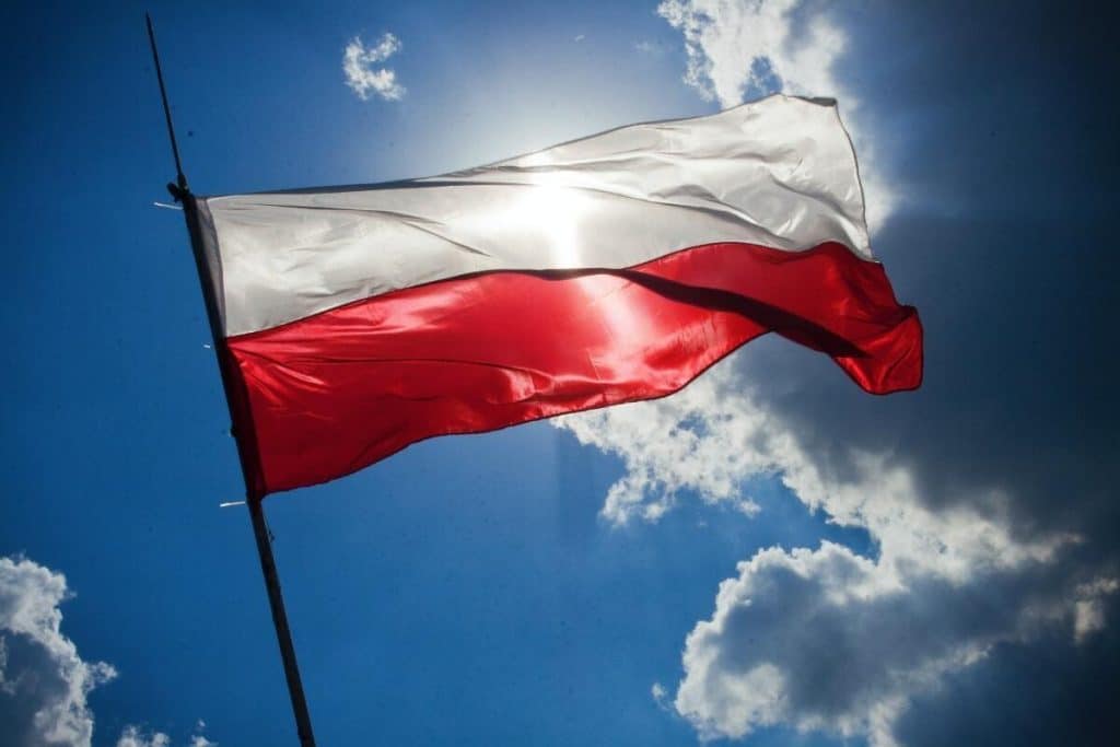 Un alt fost ministru din Polonia ajunge după gratii. Ar fi primit șpagă pentru grăbirea proceselor de obținere a vizei