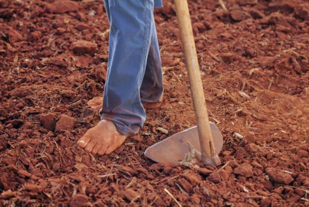Mișcarea fermierilor cutremură Europa. În Franța, premierul s-a angajat să meargă pe câmp ”pentru a construi încredere”. ”Nu ne vom mulțumi cu cuvintele”