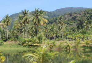 Protestele din Peru blochează accesul la Machu Picchu