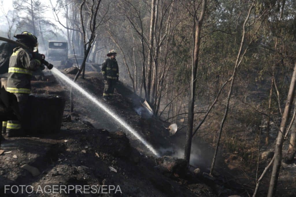 Incendiile din Chile au provocat zeci de decese. Președintele Gabriel Boric anunță că bilanțul va continua să crească