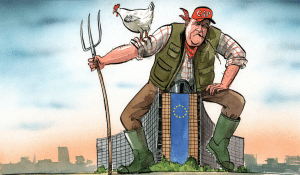 Nemulțumirea fermierilor germani poate deveni nemulțumirea întregii Europe – 60m.ro