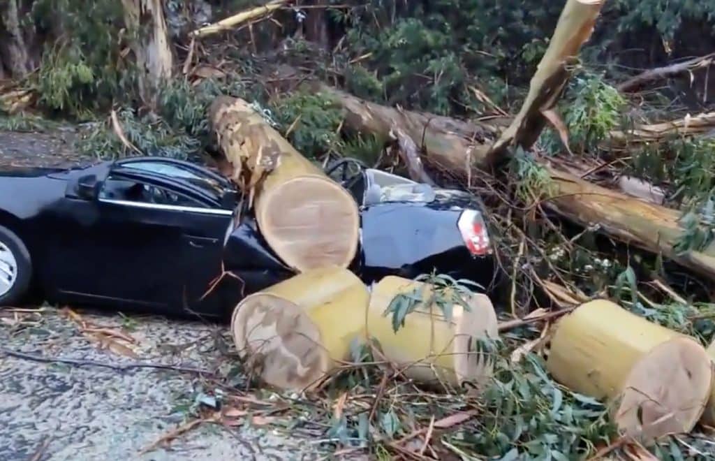 Pană de curent uriașă în California după furtună. Peste 350.000 de case nu au curent electric