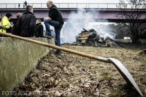 O reacție împotriva ecologiștilor planează asupra alegerilor europene