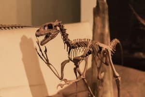 Istoria lumii ar putea fi rescrisă. Ce s-a descoperit abia acum