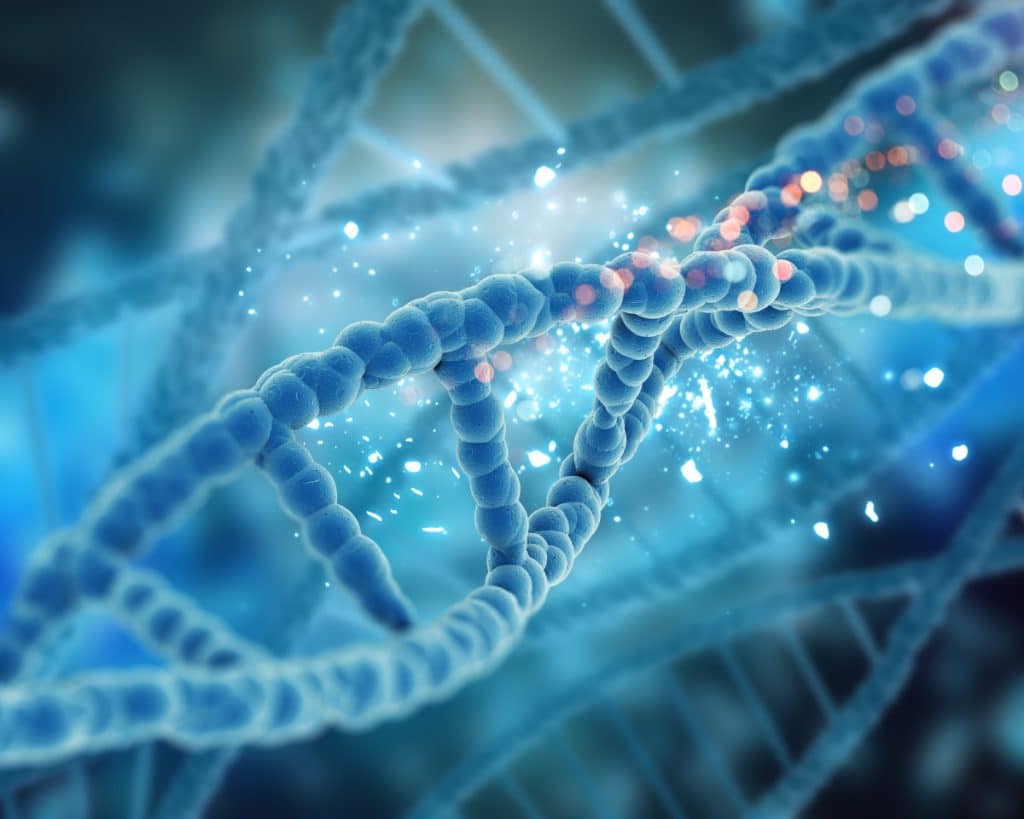 Rămășițele unei adolescente, identificate după peste 50 de ani cu ajutorul testelor ADN avansate