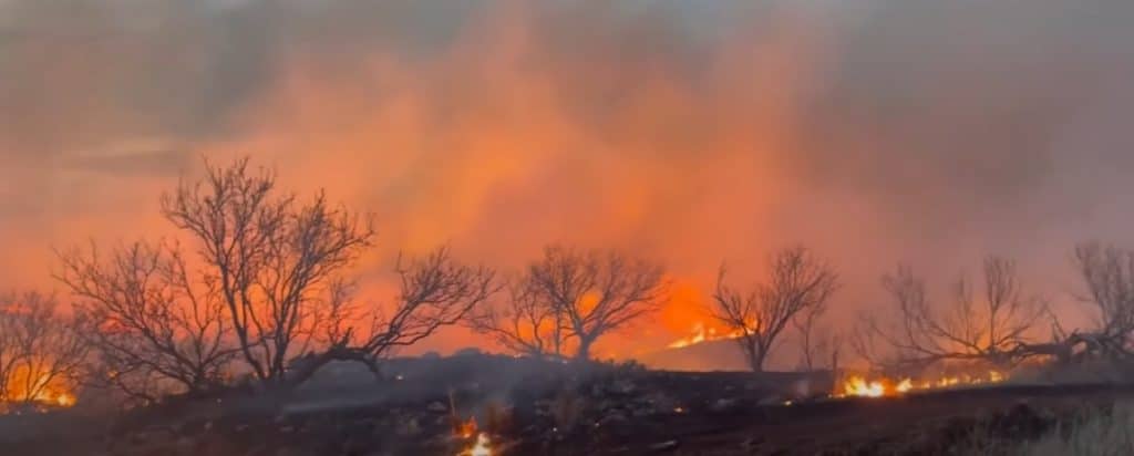 Al doilea cel mai mare incendiu din istoria Texasului. Peste 350000 de hectare au fost devastate de flăcări. ”Tati, o să-mi construiești o casă nouă?”