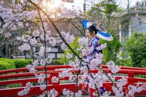 „Kyoto nu este un parc tematic”: Turiștii vor avea interdicție de a intra în faimosul cartier al gheișelor