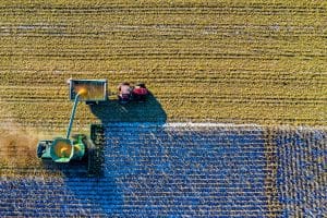 Uniunea Europeană plafonează importurile agricole din Ucraina: Păsările de curte, ouăle, porumbul și ovăzul afectate
