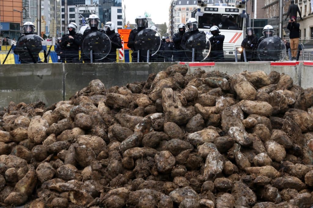 Fermierii s-au întors la Bruxelles. Proteste în fața Parlamentului European – FOTO