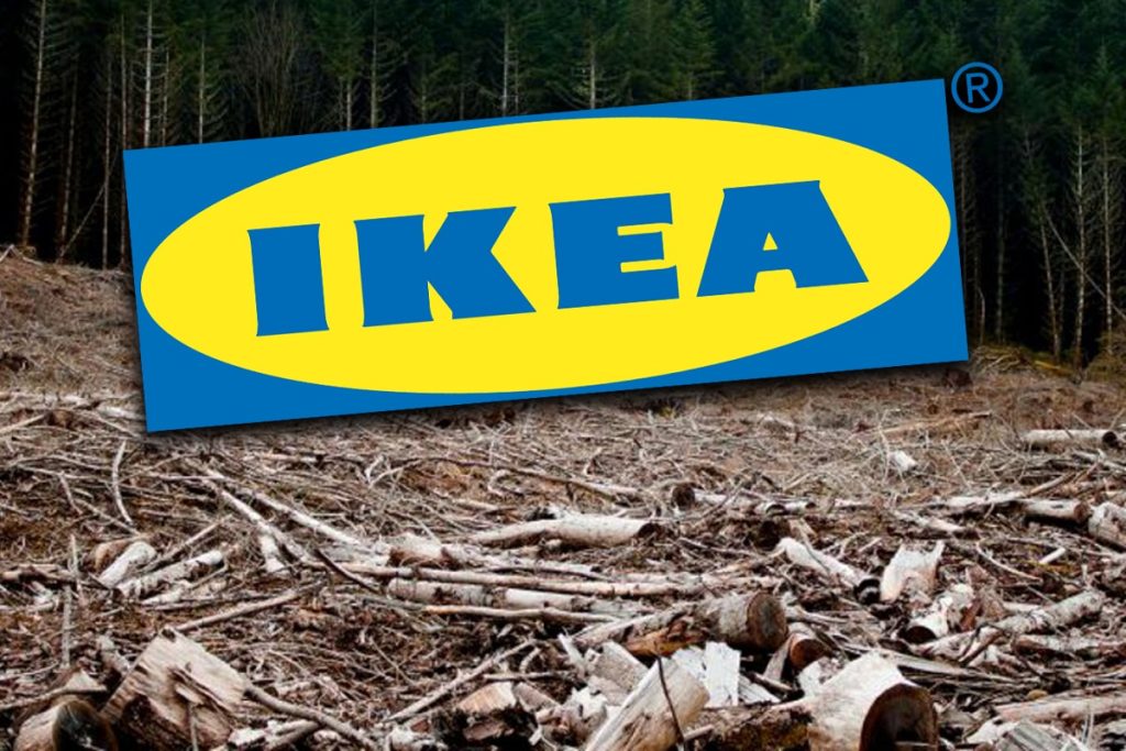 Greenpeace: Pădurile naturale din România ajung mobilă IKEA în 13 țări europene – 60m.ro