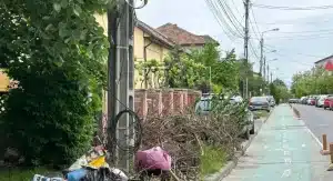 Timișoara: Gunoaie pe strada unde primarul Fritz are o vilă de 280.000 euro – 60m.ro