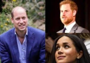 Prințul Harry și Meghan Markle, șansă de a se împăca cu Regele Charles și Prințul Harry. „Văd asta ca pe o ramură de măslin”