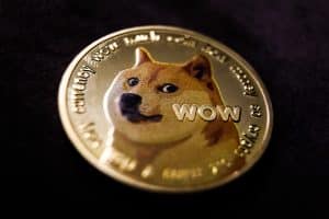 Kabosu, câinele care a inspirat Dogecoin și numeroase ”memeuri”, a murit /foto
