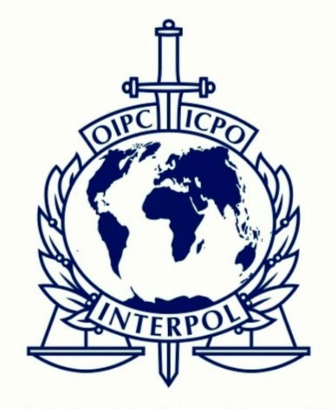 Șeful Biroului Interpol din Republica Moldova, în arest preventiv