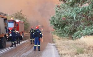 Meteorolog elen, surprins de incendiile din Grecia din 2024: „E prima dată când se întâmplă atât de devreme” 