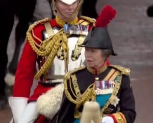 Prințesa Anne, sora regelui Charles, internată în spital